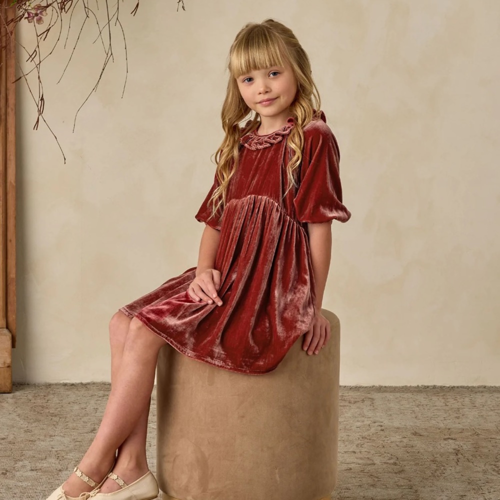 Noralee Adeline 2T Velvet Ruby toddler Dress - Picture 2 of 5